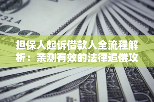 武汉担保人起诉借款人全流程解析：亲测有效的法律追偿攻略