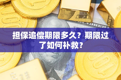 武汉担保追偿期限多久？期限过了如何补救？