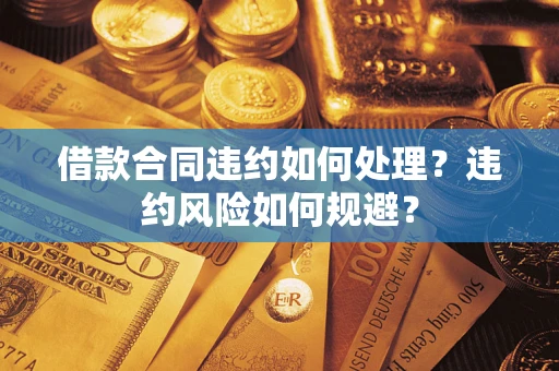 武汉借款合同违约如何处理？违约风险如何规避？