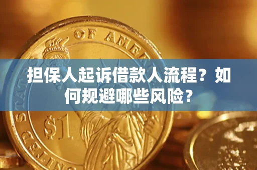 武汉担保人起诉借款人流程？如何规避哪些风险？