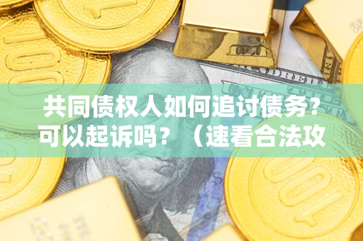 武汉共同债权人如何追讨债务？可以起诉吗？（速看合法攻略）