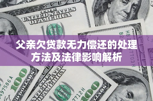 武汉父亲欠贷款无力偿还的处理方法及法律影响解析